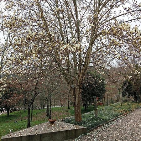 Vianashome Amarante Kültér fotó